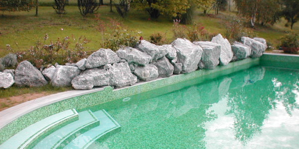 Piscina interrata in cemento armato con scale, pietre e vegetazione decorative, in giardino